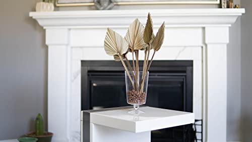 Ragnify Dried Palm Leaves Spear Natural Dried Palm Fans Bohemian Dried Flowers for Bohemian Dried Palm Spears Tropical Dried Palm Leaves Decor for Boho Wedding Party (18x10 Inches, 04)