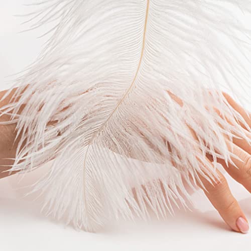 Ragnify Pack of 24 Natural White Ostrich Feathers 10-12 Inches with 24 Sticks 10 Inches and Tape for DIY Decorations, Wedding Party Centerpiece Decorations