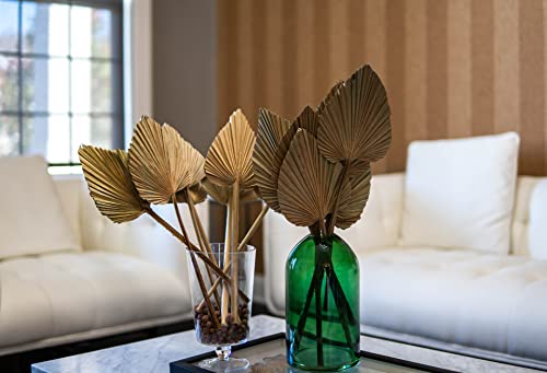 Ragnify Dried Palm Leaves Spear Natural Dried Palm Fans Bohemian Dried Flowers for Bohemian Dried Palm Spears Tropical Dried Palm Leaves Decor for Boho Wedding Party (18x10 Inches, 04)