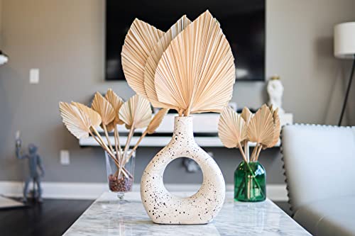 Ragnify Dried Palm Leaves Spear Natural Dried Palm Fans Bohemian Dried Flowers for Bohemian Dried Palm Spears Tropical Dried Palm Leaves Decor for Boho Wedding Party (18x10 Inches, 04)