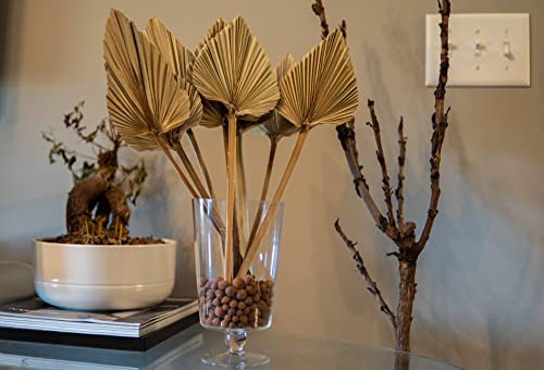 Ragnify Dried Palm Leaves Spear Natural Dried Palm Fans Bohemian Dried Flowers for Bohemian Dried Palm Spears Tropical Dried Palm Leaves Decor for Boho Wedding Party (18x10 Inches, 04)