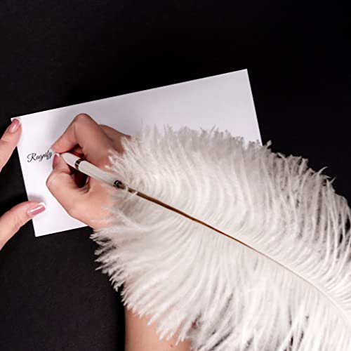 Ragnify Pack of 24 Natural White Ostrich Feathers 10-12 Inches with 24 Sticks 10 Inches and Tape for DIY Decorations, Wedding Party Centerpiece Decorations