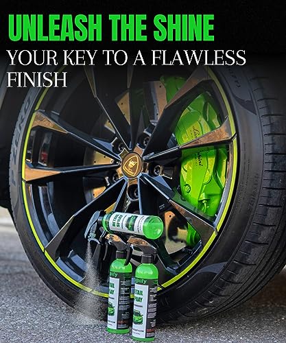 Ragnify- 2 Mesh Clay Mitt with Detailing Spray 16oz, Quick Waterless Detailer for Shine, Car Wax for Clay Bar, Gloss & Depth to Paint, Quick Detailer Kit (2x8 Oz Spray Bottles & 2 Mitts)