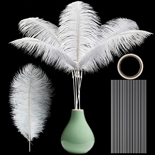 Ragnify Pack of 24 Natural White Ostrich Feathers 10-12 Inches with 24 Sticks 10 Inches and Tape for DIY Decorations, Wedding Party Centerpiece Decorations
