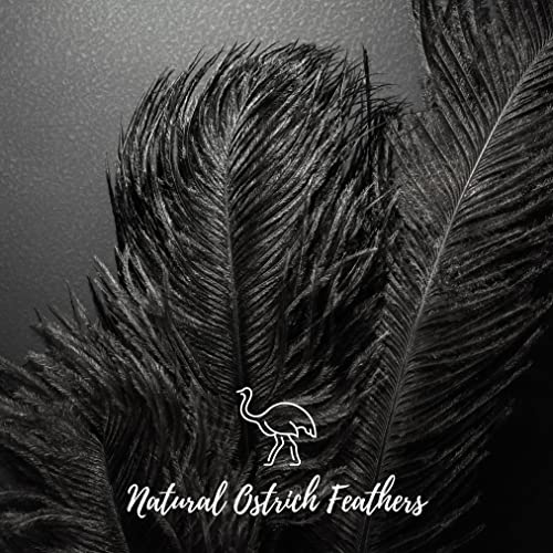Ragnify Pack of 24 Natural Black Ostrich Feathers 10-12 Inches with 24 Sticks 10 Inches and Tape for DIY Decorations, Wedding Party Centerpiece Gatsby Decorations