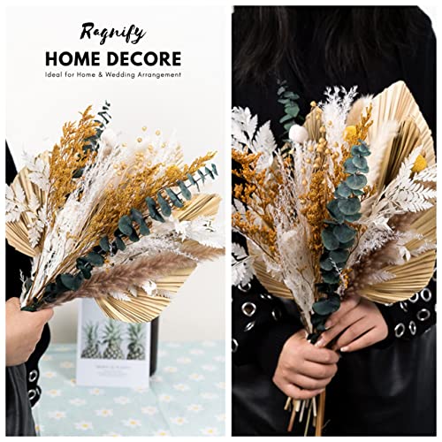 Ragnify Dried Palm Leaves - Unique and Sustainable Decor for Any Occasion