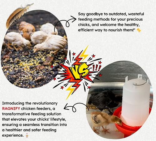 Ragnify Chicken Feeder and Water Set (Style 1)