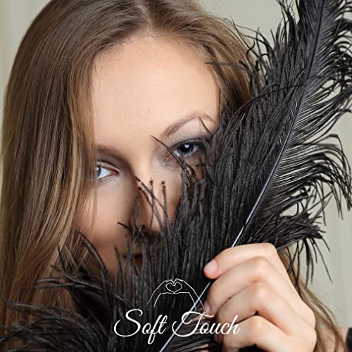 Ragnify Pack of 24 Natural Black Ostrich Feathers 10-12 Inches with 24 Sticks 10 Inches and Tape for DIY Decorations, Wedding Party Centerpiece Gatsby Decorations