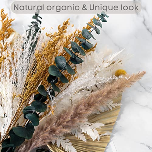 Ragnify Dried Palm Leaves - Unique and Sustainable Decor for Any Occasion