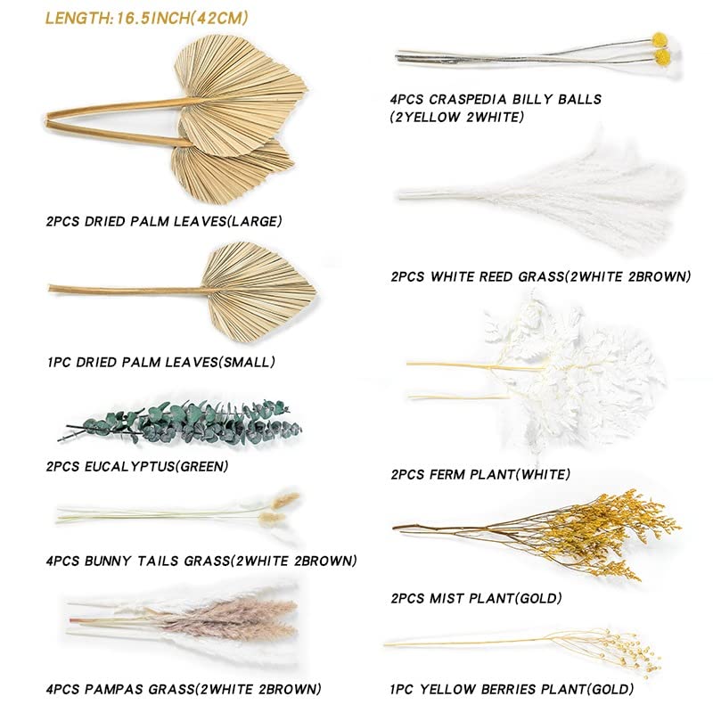 Ragnify Dried Palm Leaves - Unique and Sustainable Decor for Any Occasion