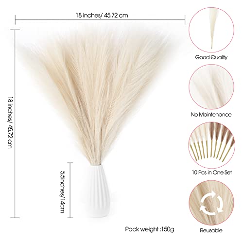 Ragnify 10 Stunning Cream Faux Pampas Grass Stems for Table and Floor Decoration.