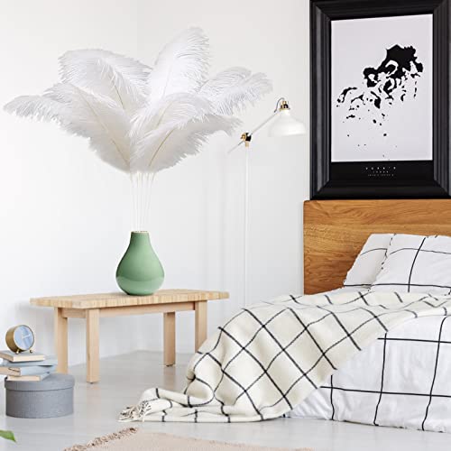 Ragnify Pack of 24 Natural White Ostrich Feathers 10-12 Inches with 24 Sticks 10 Inches and Tape for DIY Decorations, Wedding Party Centerpiece Decorations