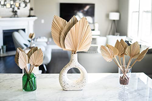 Ragnify Dried Palm Leaves Spear Natural Dried Palm Fans Bohemian Dried Flowers for Bohemian Dried Palm Spears Tropical Dried Palm Leaves Decor for Boho Wedding Party (18x10 Inches, 04)