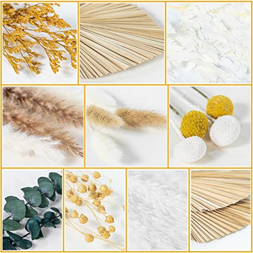 Ragnify Dried Palm Leaves Spear Natural Dried Palm Fans Bohemian Dried Flowers for Bohemian Dried Palm Spears Tropical Dried Palm Leaves Decor for Boho Wedding Party (18x10 Inches, 04)