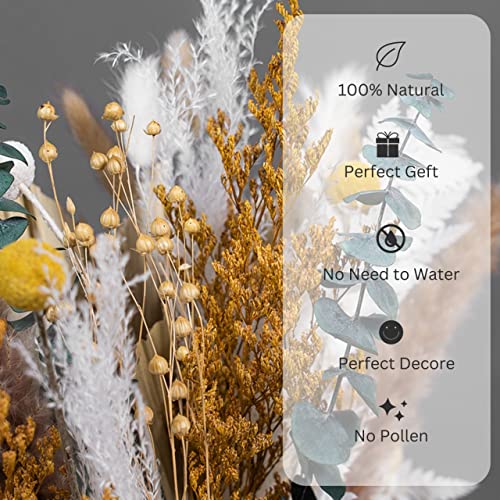 Ragnify Dried Palm Leaves - Unique and Sustainable Decor for Any Occasion