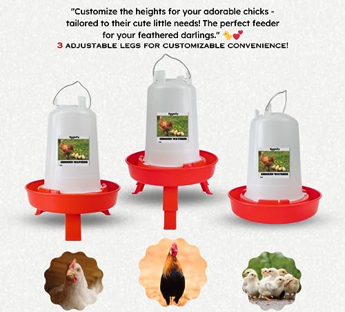 Ragnify Chicken Feeder and Water Set (Style 1)